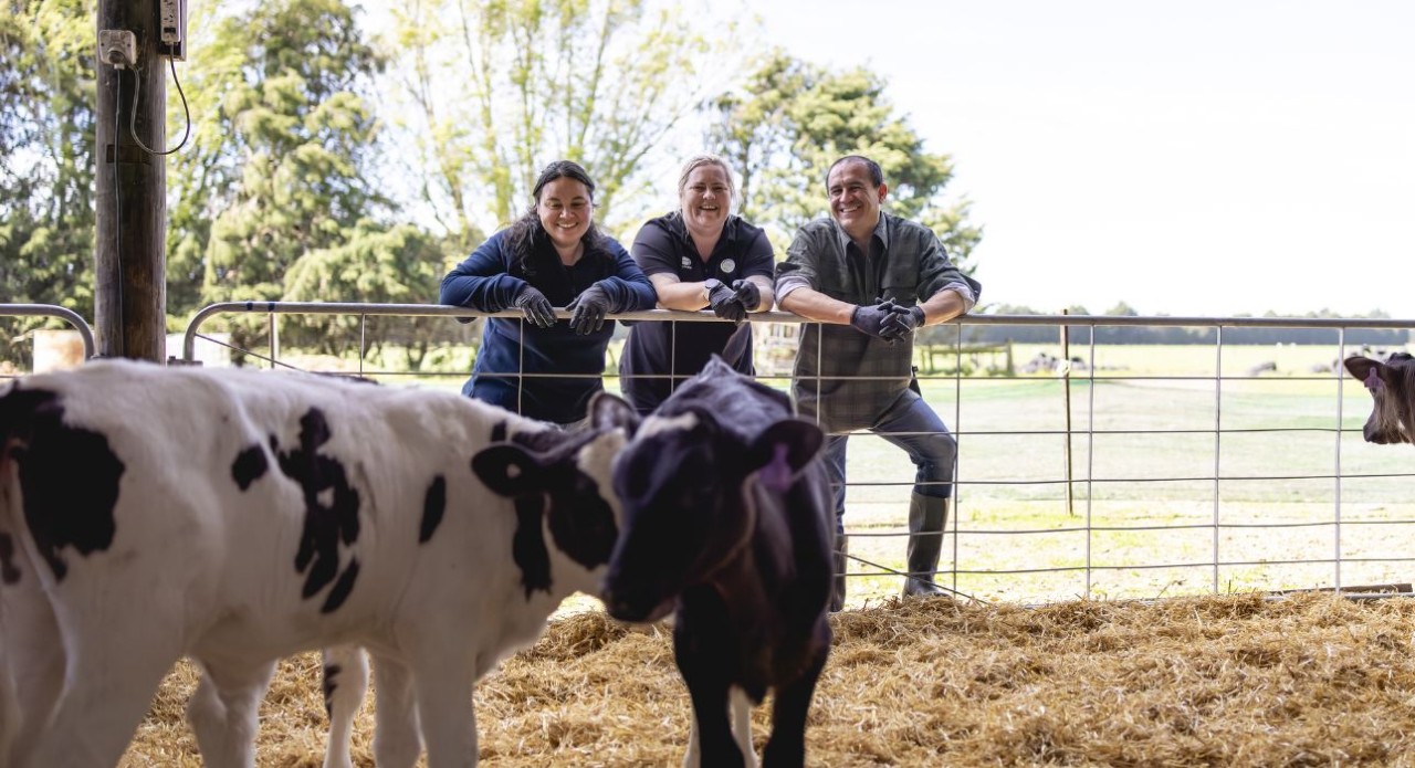 On-farm advice
