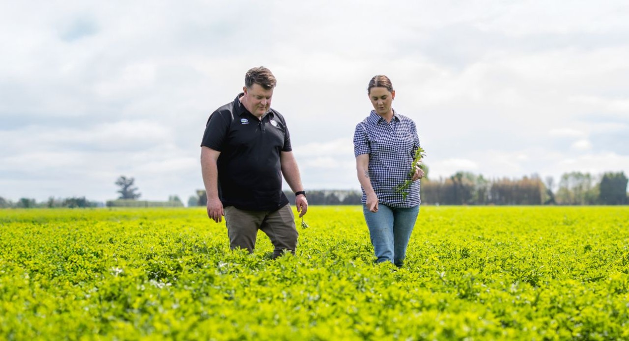 On-farm advice