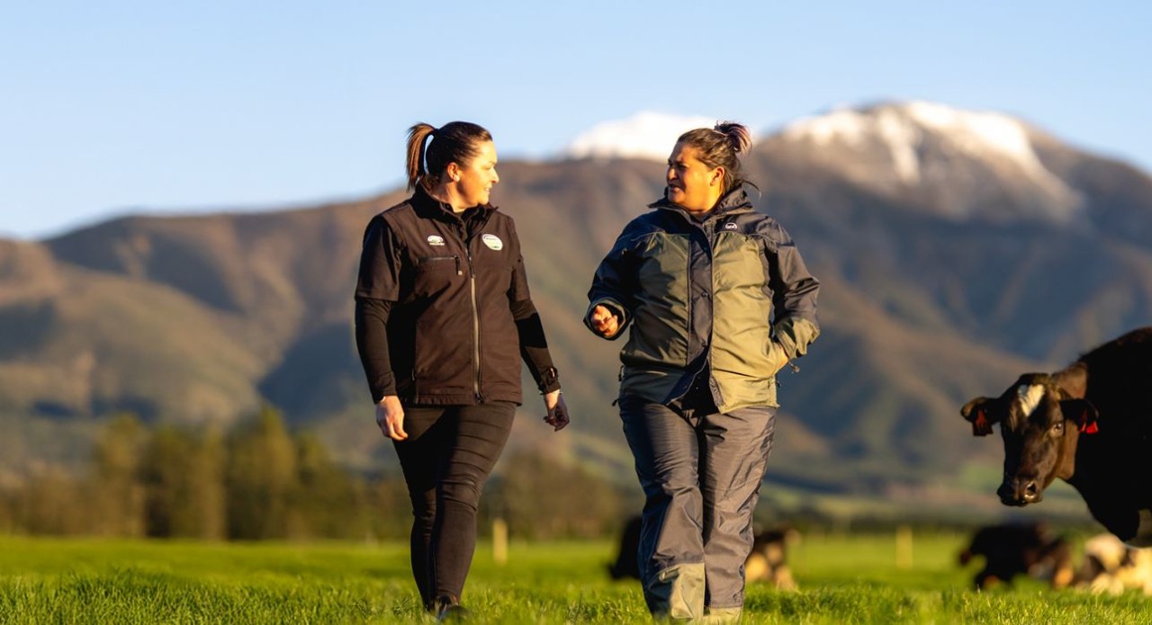 Prepare for your Farm Dairy Assessment