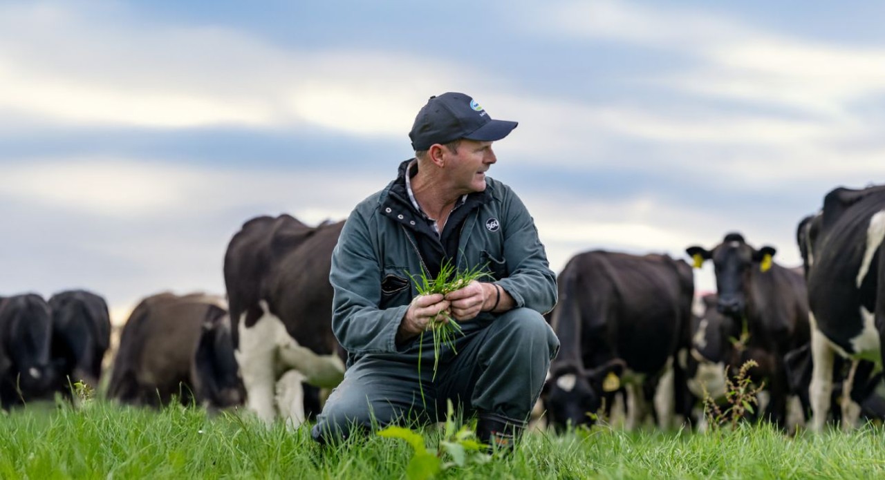 Co-operative Difference 2025/26