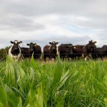 New season checklist