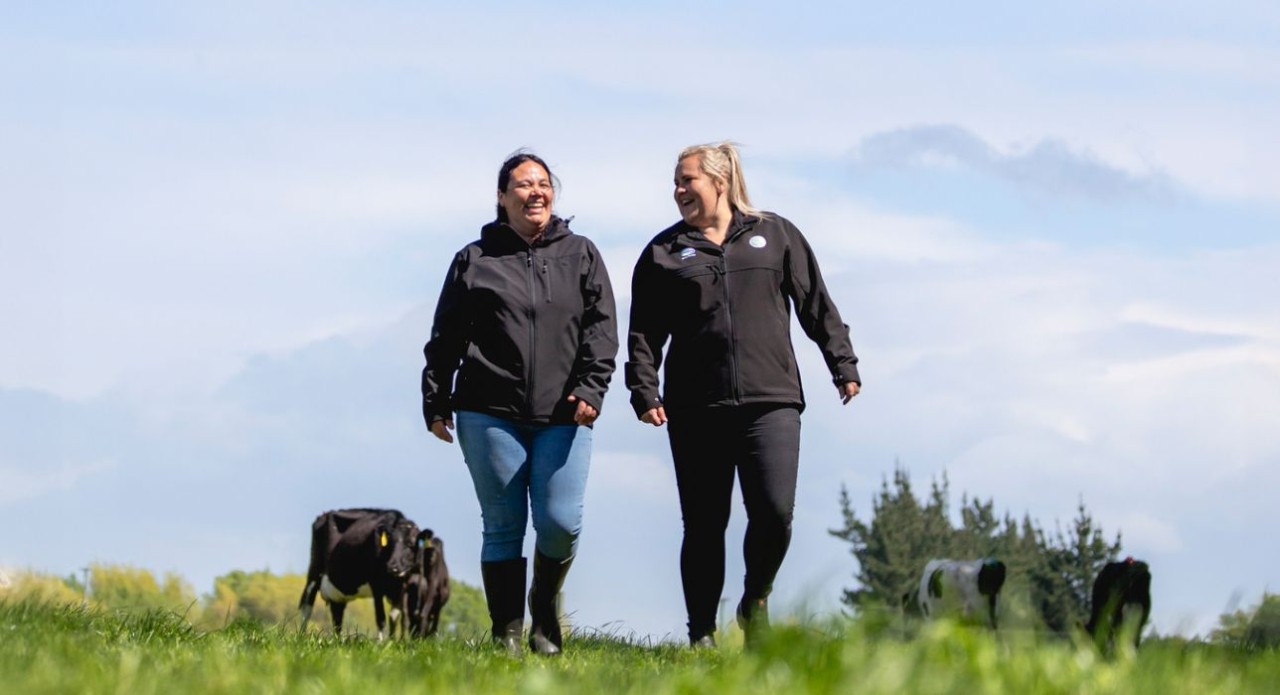 Co-operative Services Area Manager