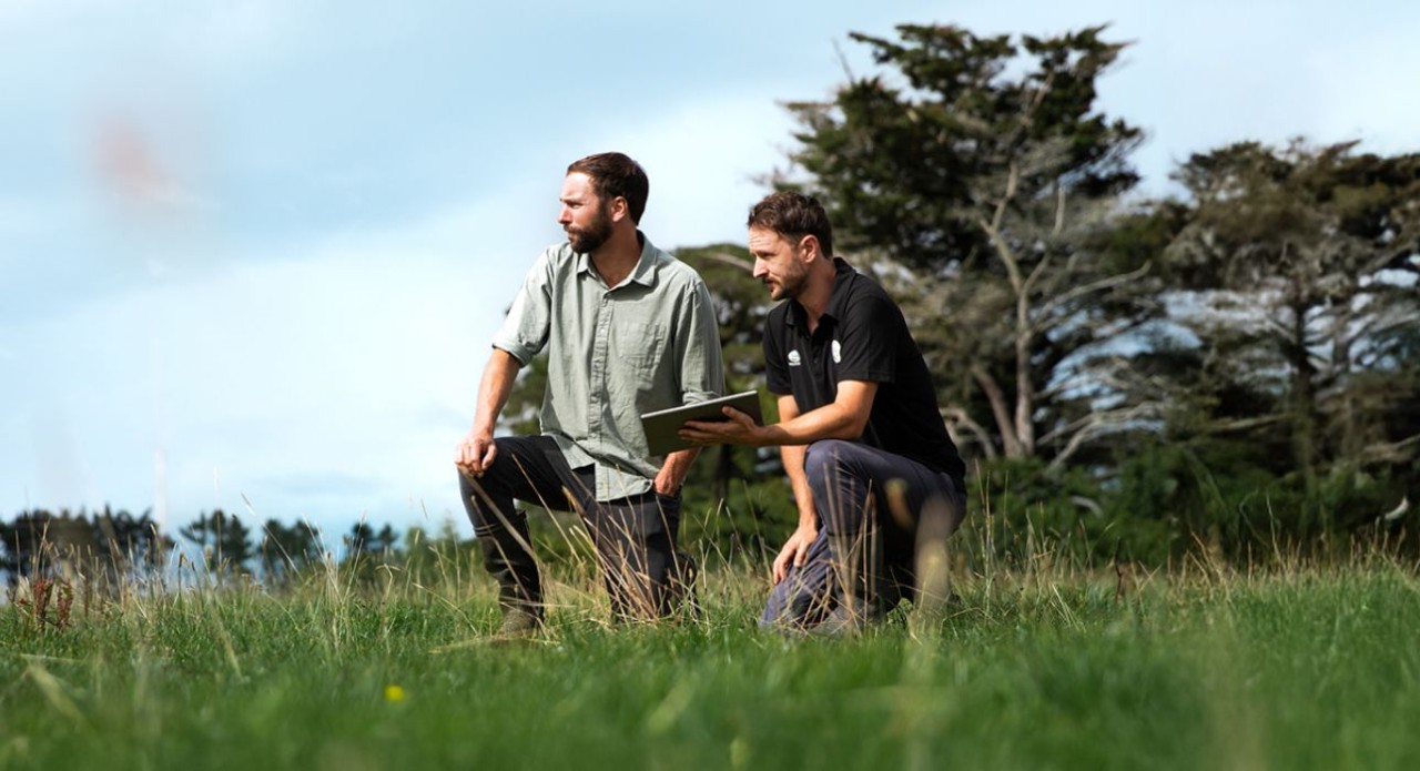 Sustainable Dairying Advisor