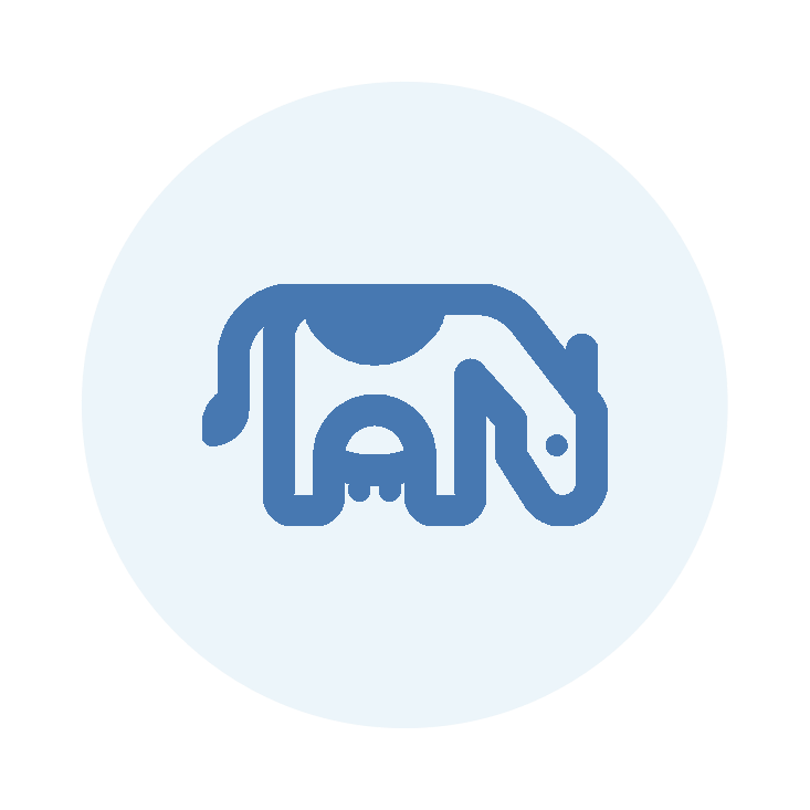 Cow grazing icon