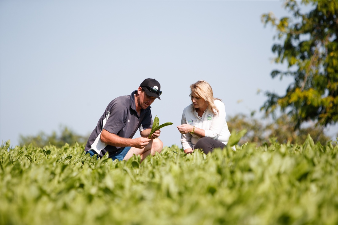 TSR on farm with farmer