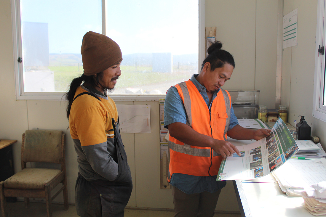 Workers looking at the udder guide guide