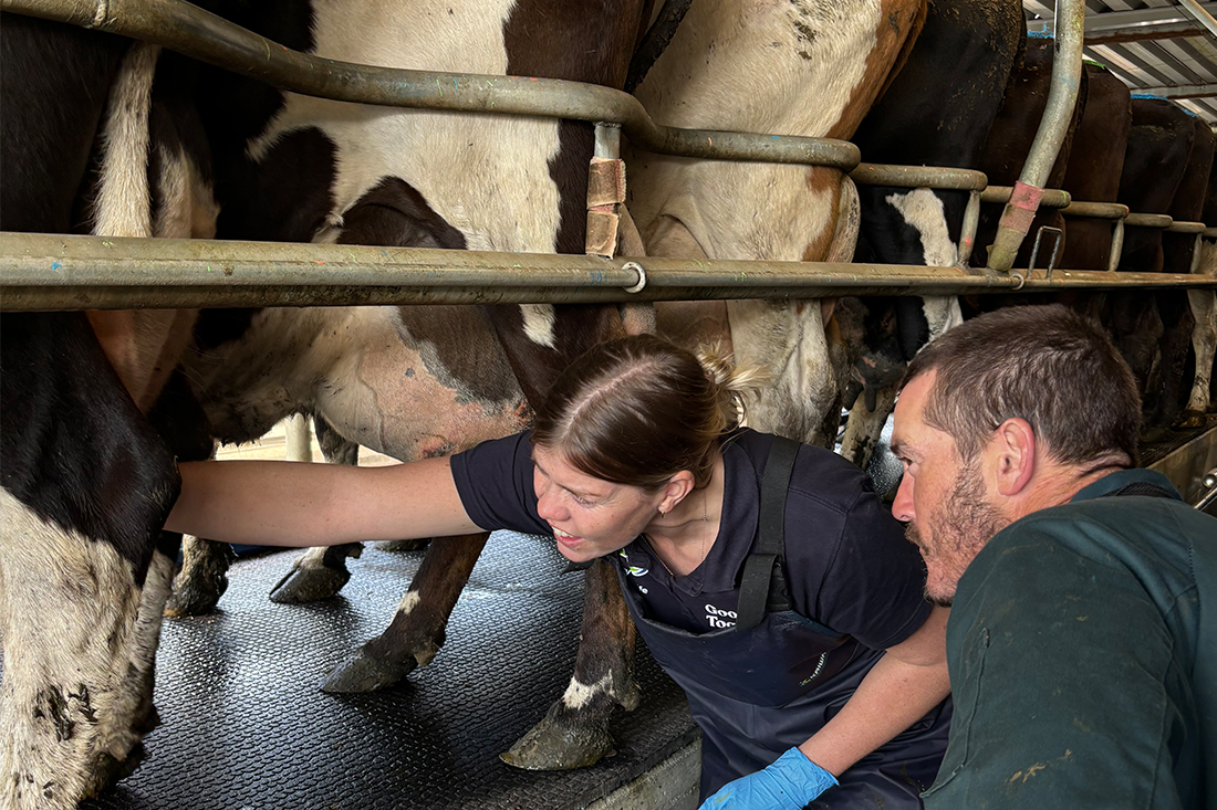 Milk Quality Visits