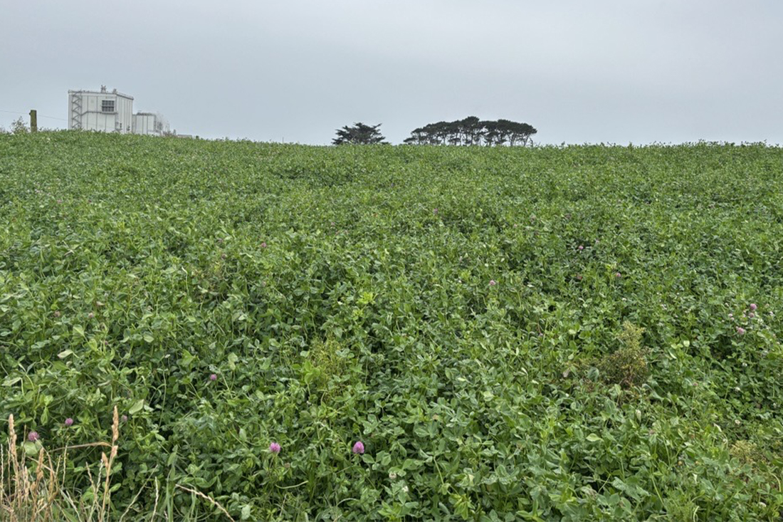 The Co-op’s Net Zero Pilot Dairy Farm in Taranaki