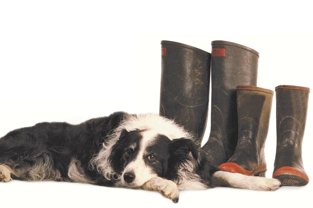 Rural Support Trust