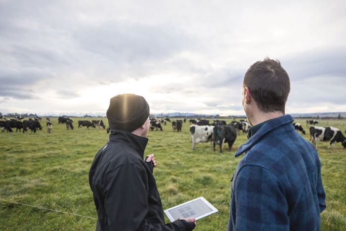 On-farm efficiency service