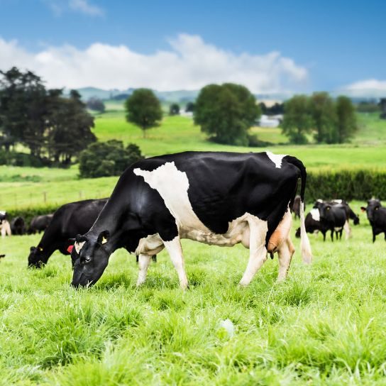 Understanding biosecurity
