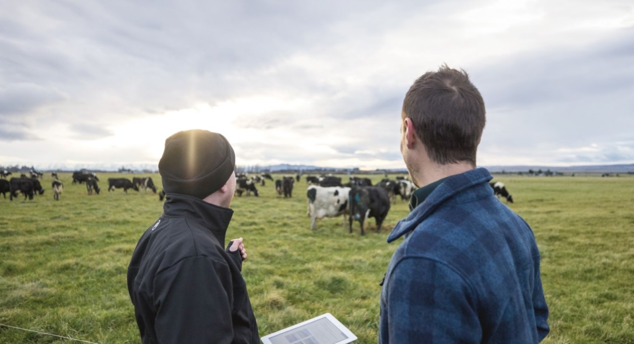 Sustainable Dairying Advisor