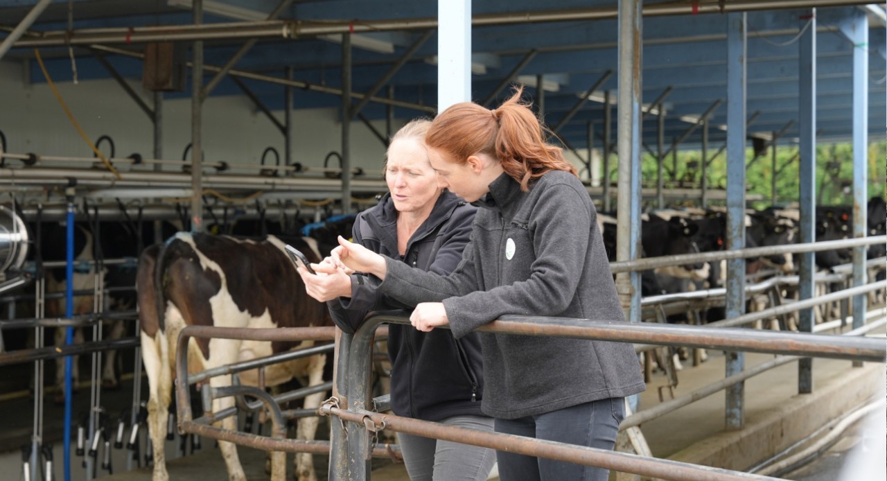 Milk Quality Manager