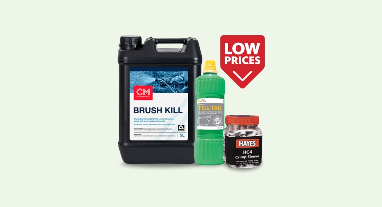 October deals