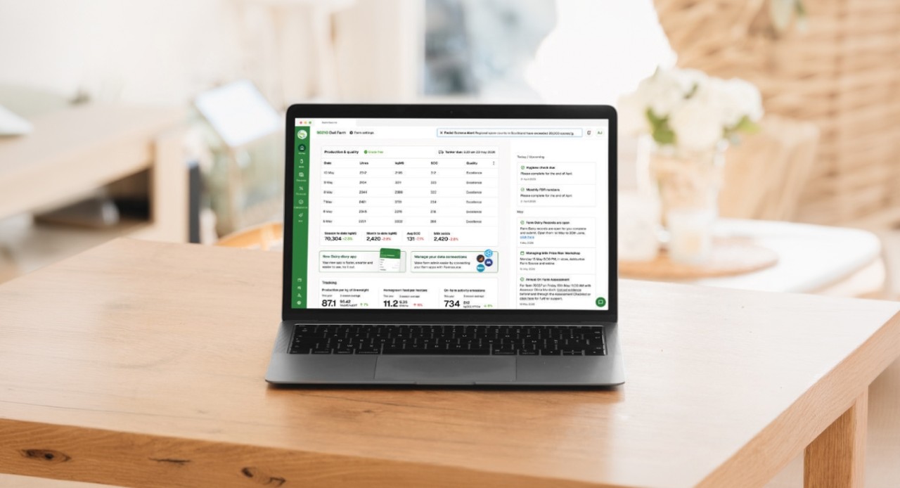 Your Workspace Desktop