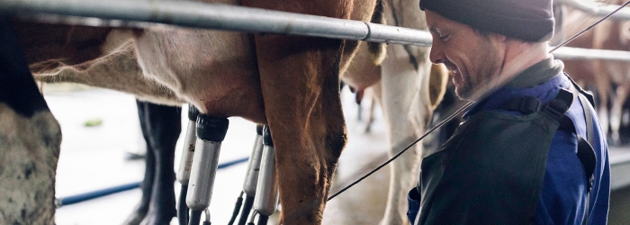 5 reasons to herd test at peak production