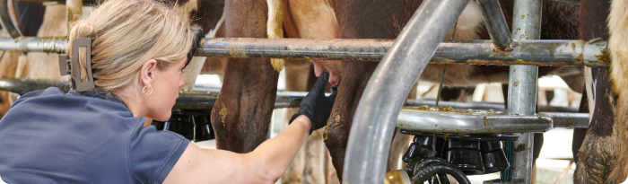 Milk Quality Visit
