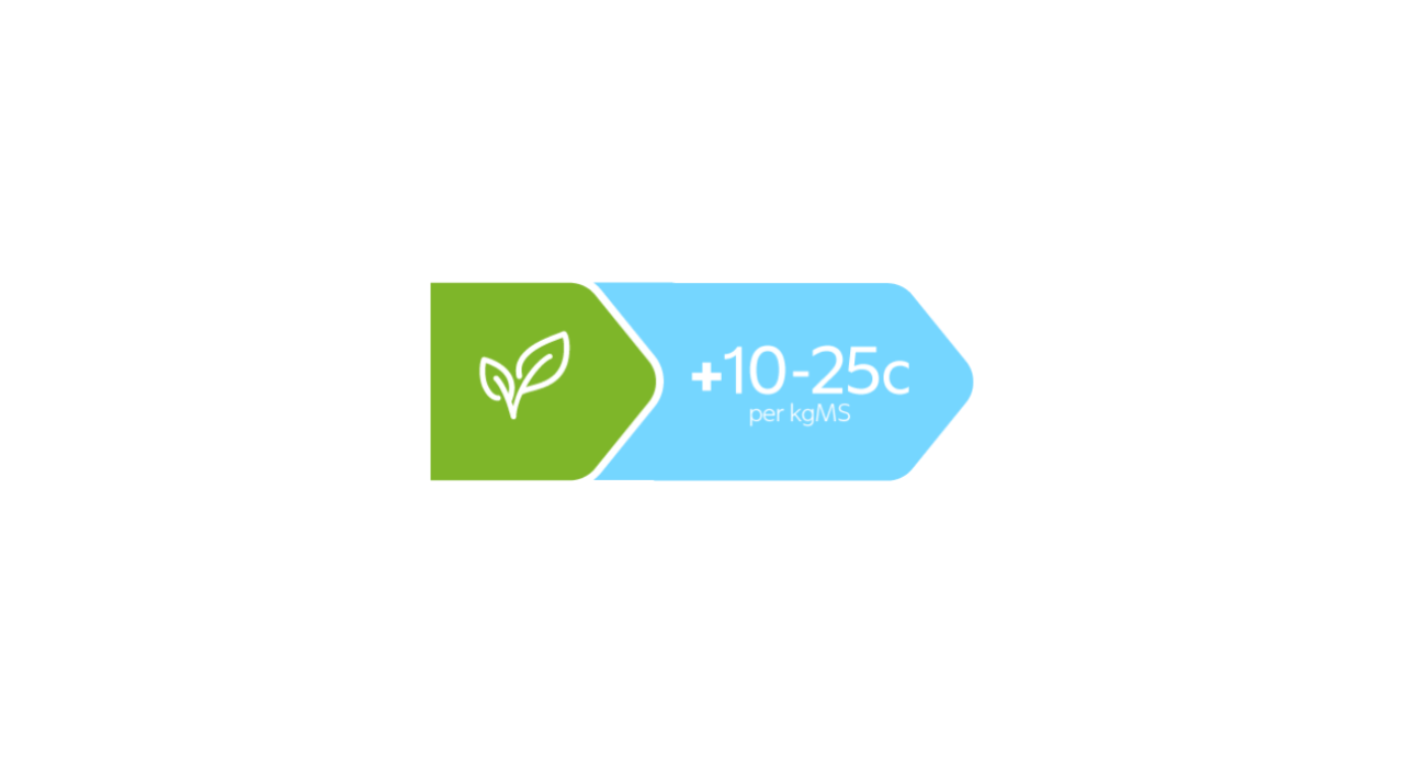 10c