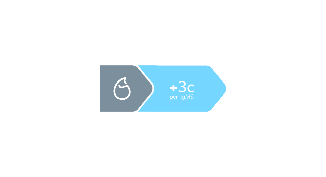 3c