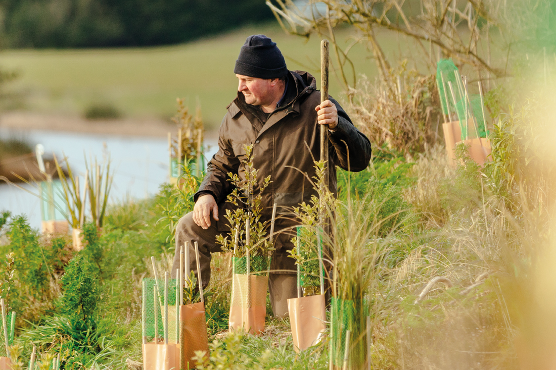 planting