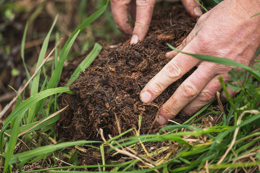 Hands in soil