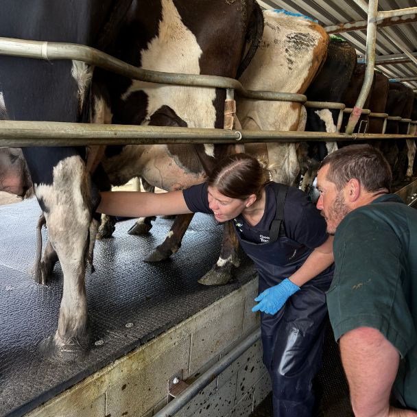 Milk Quality Visit