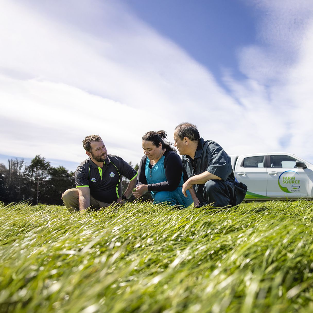 Best practice pasture renewal