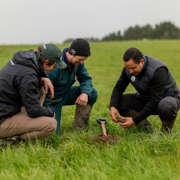 Optimise nitrogen fertiliser