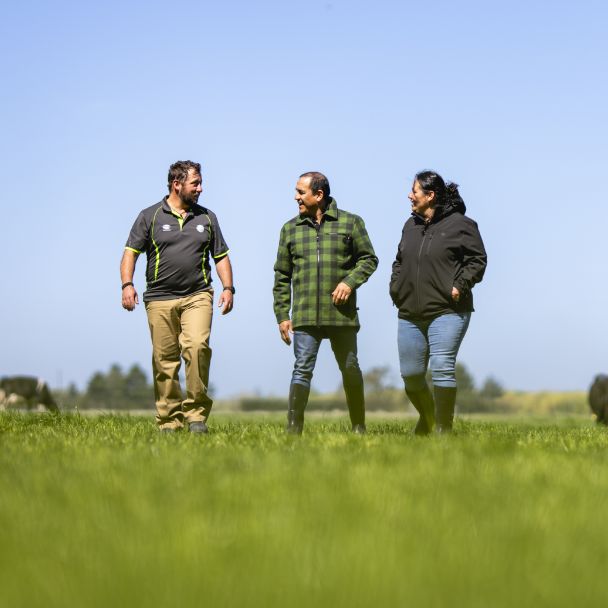 Sow right this autumn for better homegrown feed results