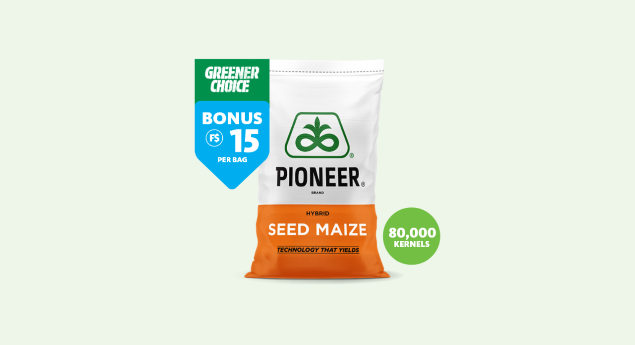 Pioneer Seed Maize