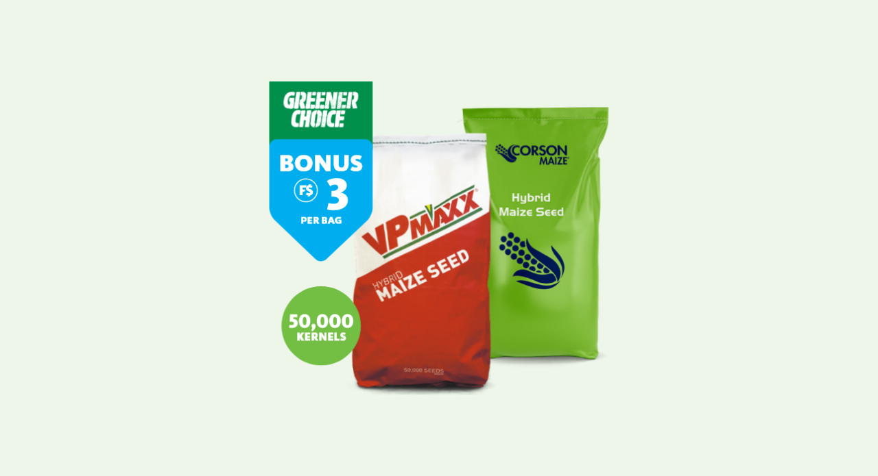 Corson and VPMAXX maize seed