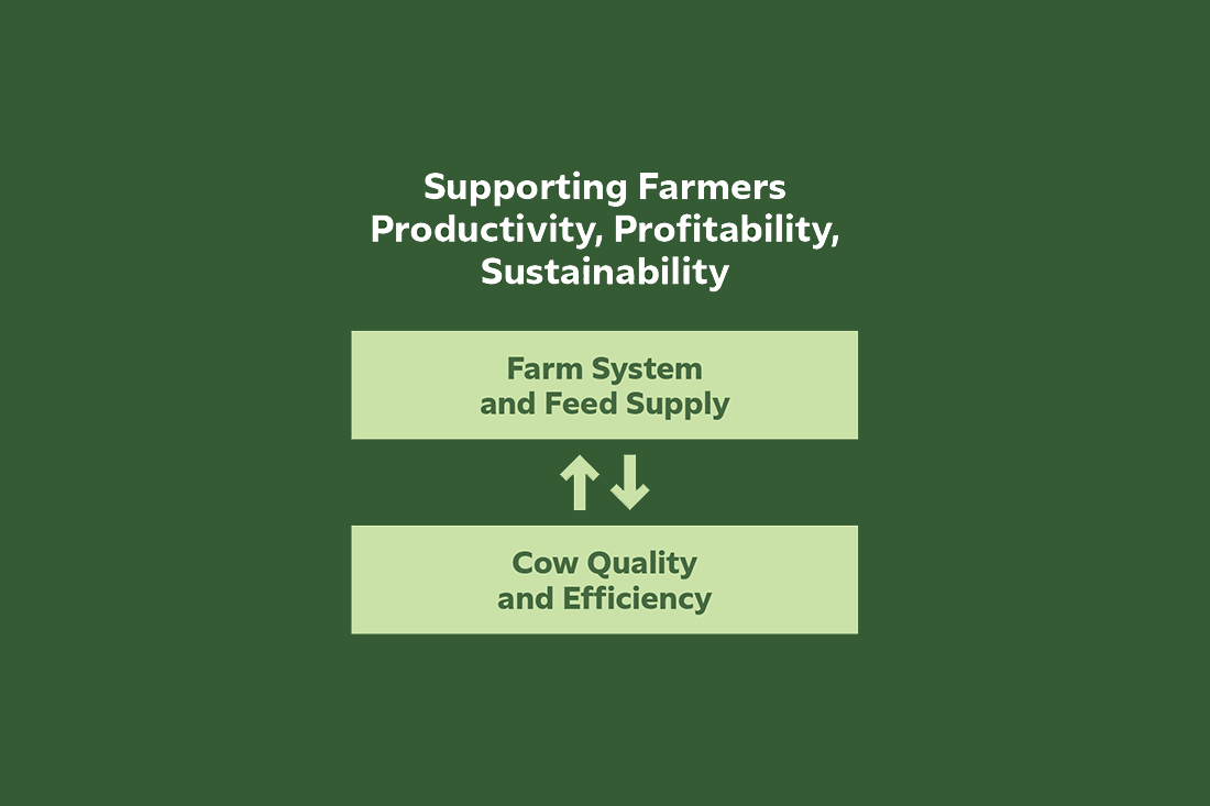 On-farm efficiency