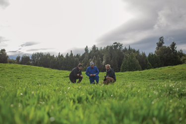 nutrient optimisation