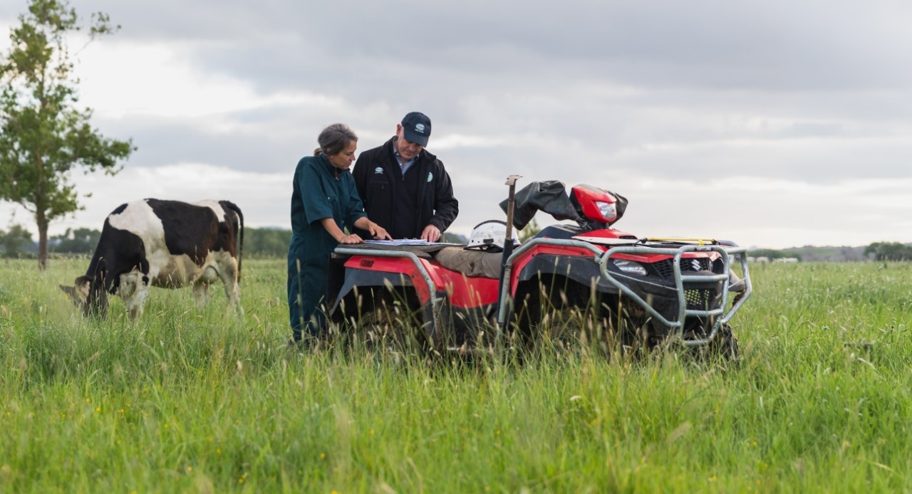 Organic Milk Price and financial information