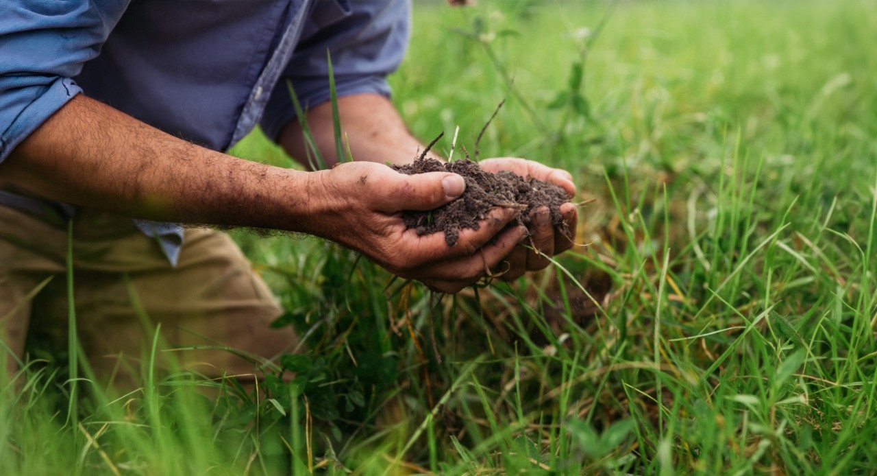 Optimising an organic system