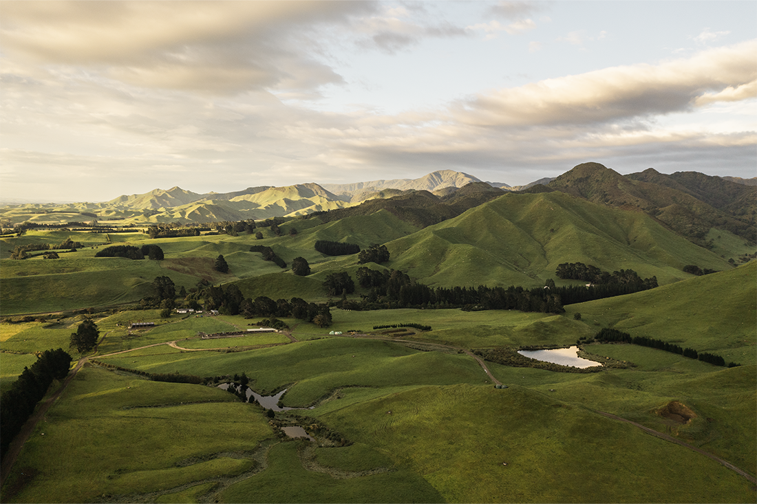 Claim your carbon removals