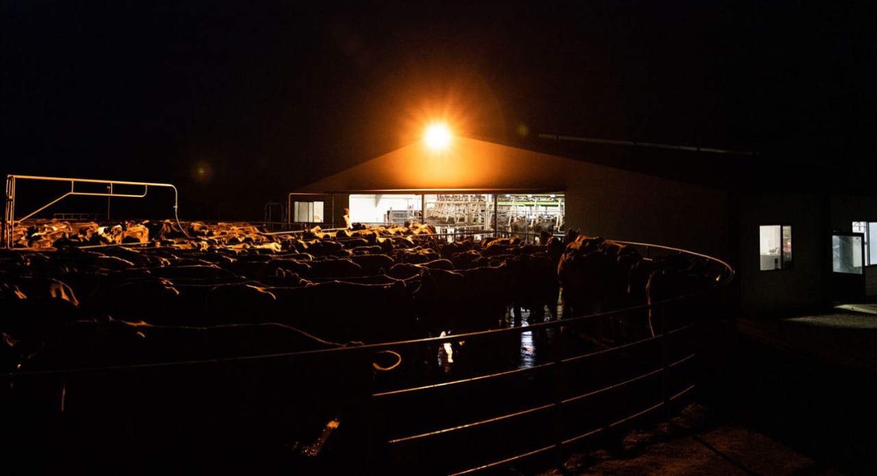 Preparing for assessment