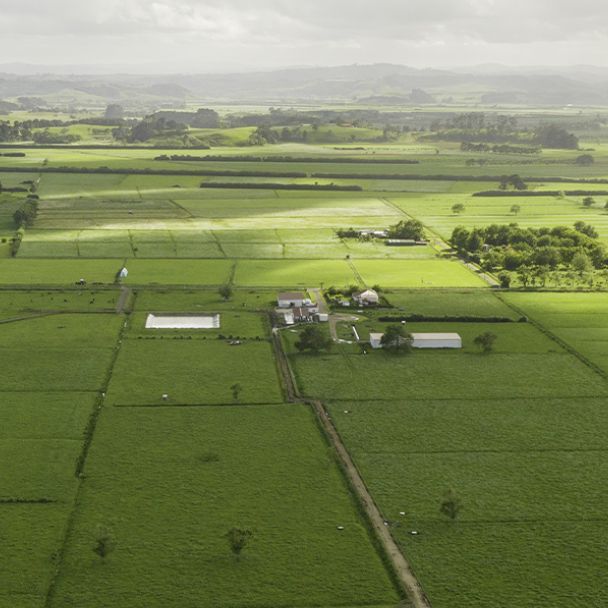 Optimise your farm’s nutrient inputs