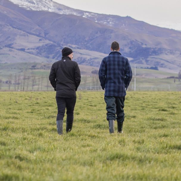 The ah ha moment: The benefits of the Farm Insights Report