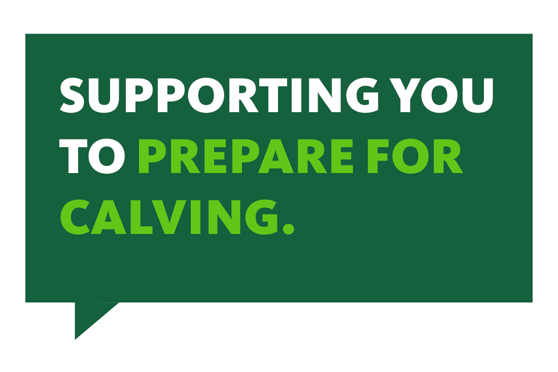 Supporting you to prepare for calving