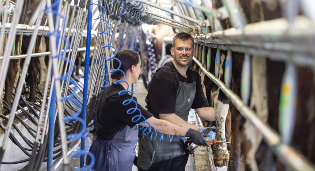 On-farm advice