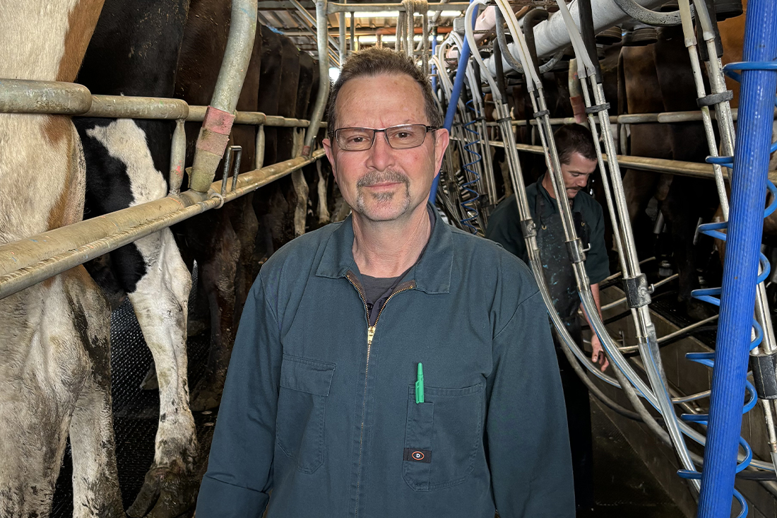 Monitor mastitis over the dry period