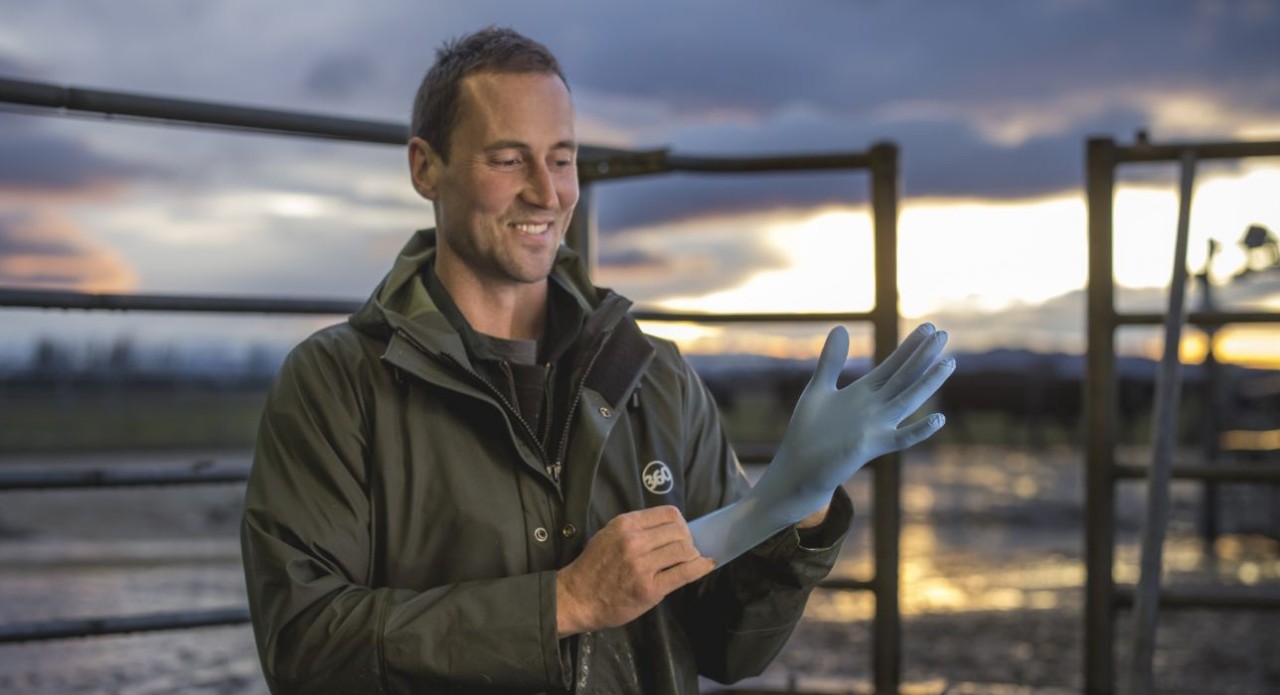 Early season mastitis control guide