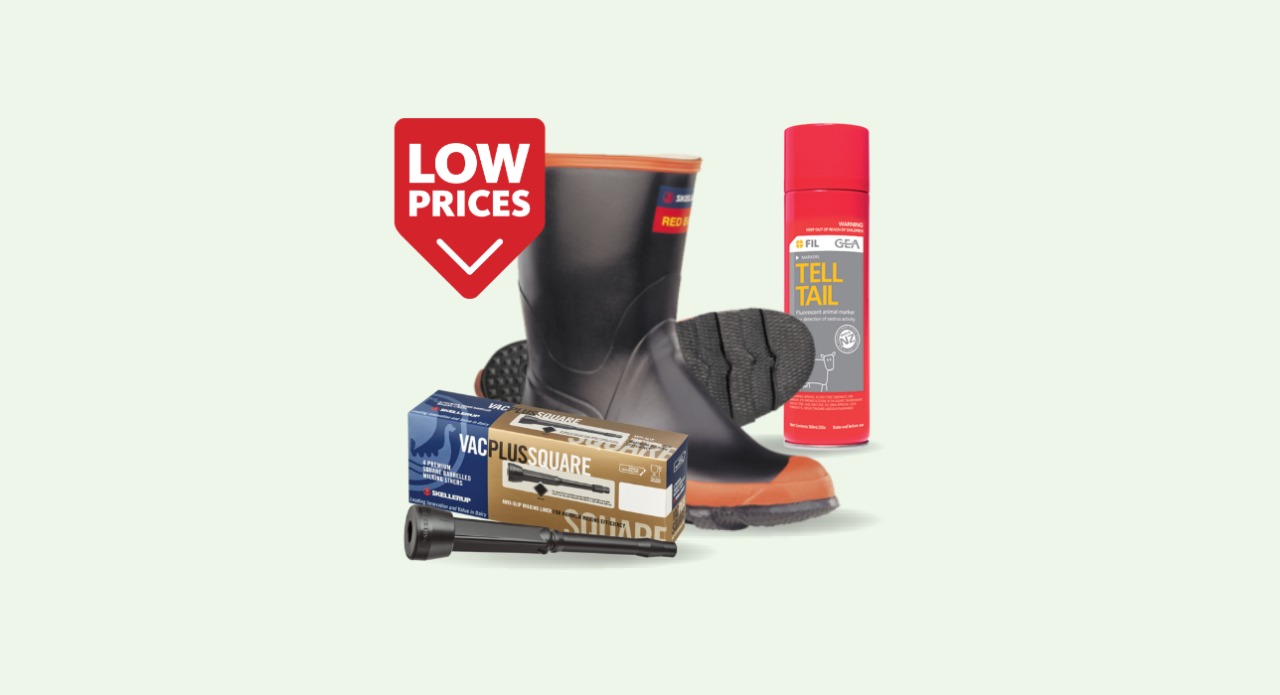 Seasonal deals