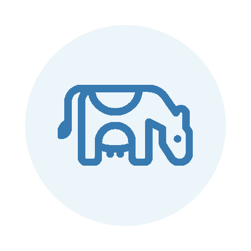 Cow icon