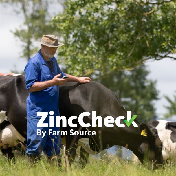 ZincCheck
