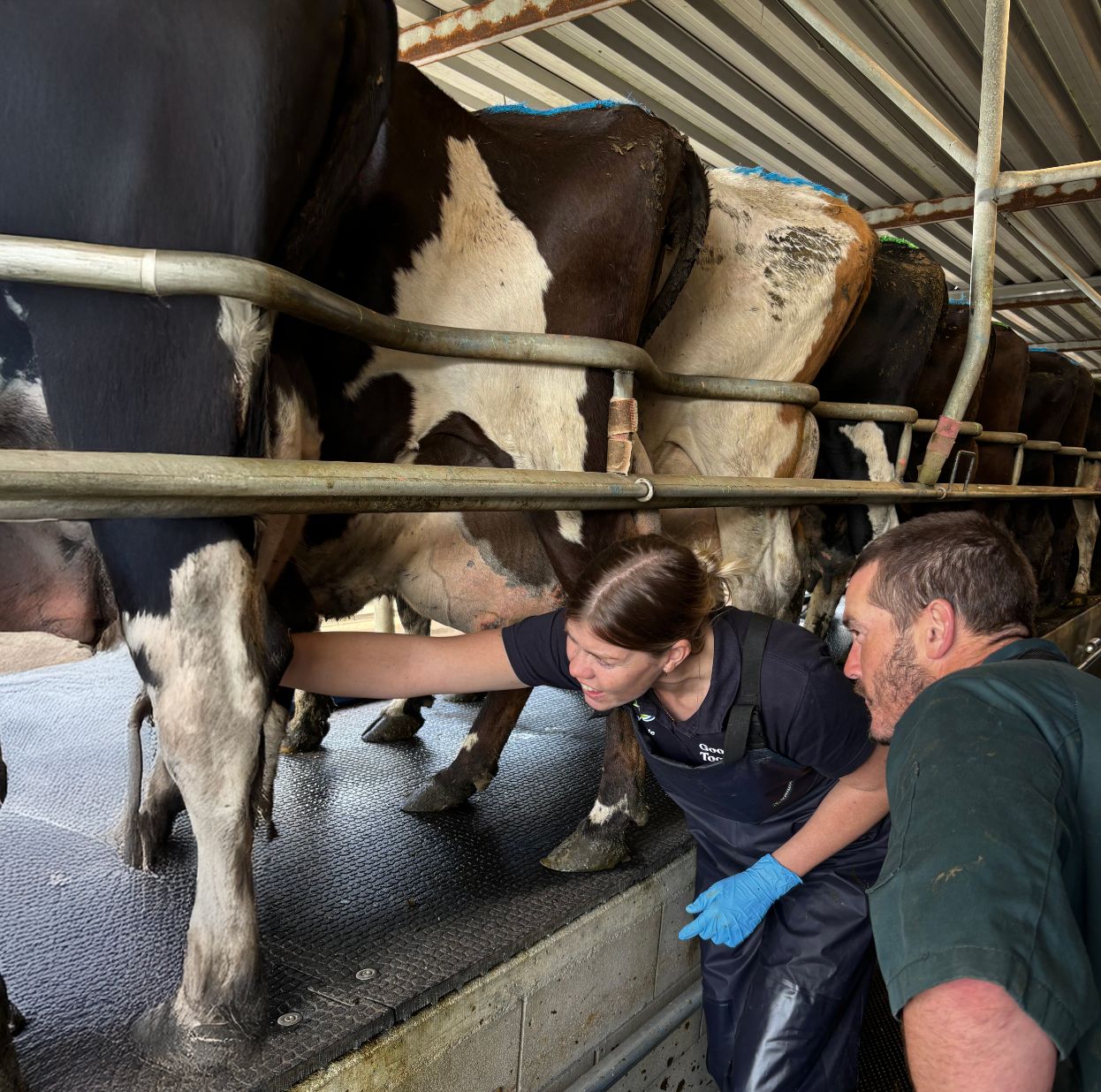 Terry Playle, Milk Quality Manager