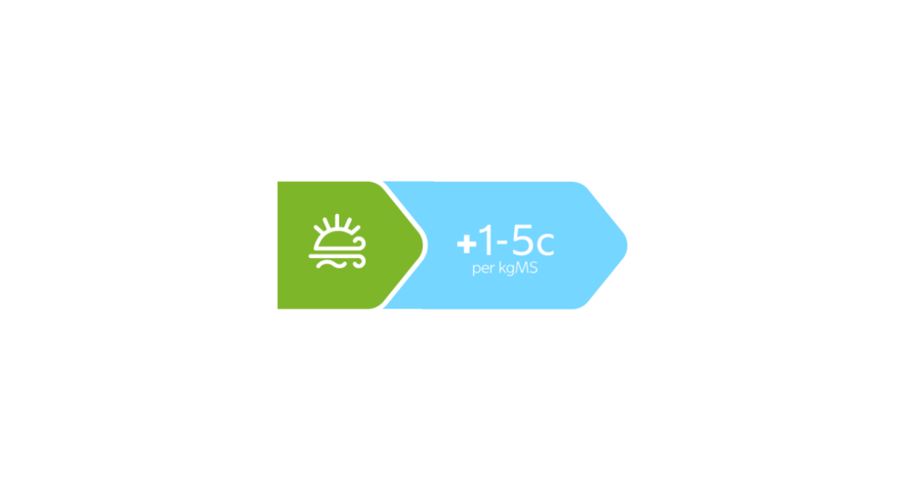 Emissions Excellence