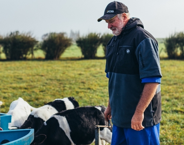 Farmer with cows