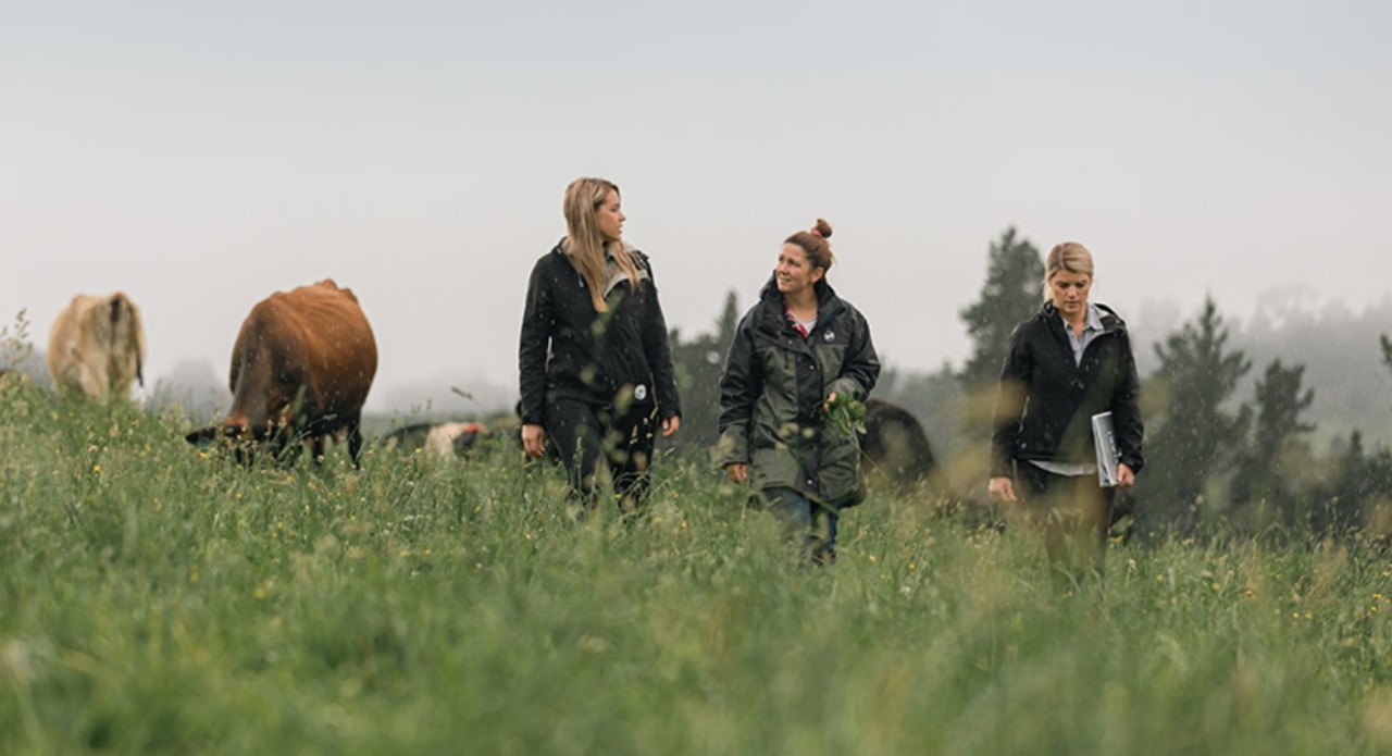 Why are customers funding this